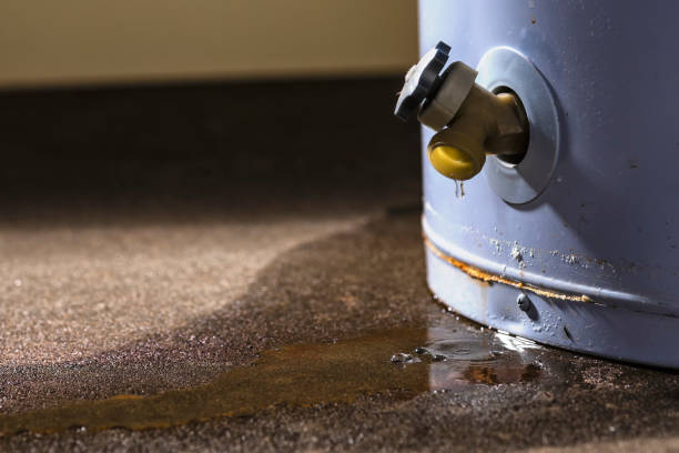 Best Mold removal after water damage  in Lake Heritage, PA