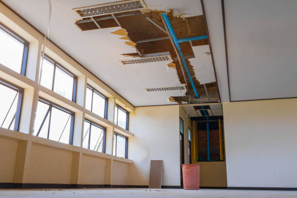 Best Carpet water damage restoration  in Lake Heritage, PA