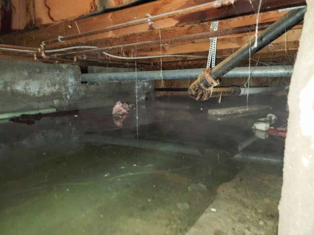 Best Water damage cleanup near me  in Lake Heritage, PA