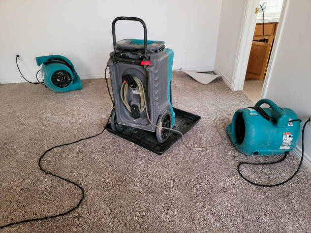 Best Water damage contractors near me  in Lake Heritage, PA