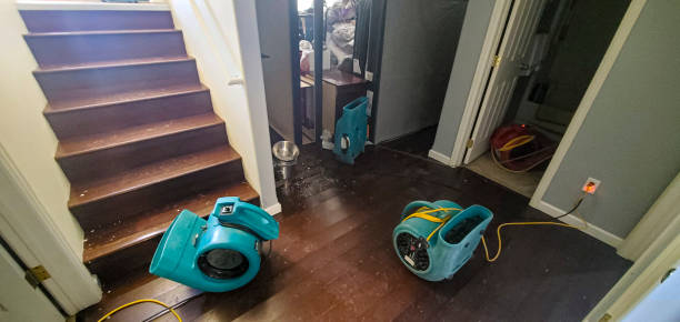Best Sewage cleanup and water damage restoration  in Lake Heritage, PA