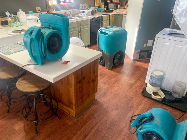 Best 24-hour water damage restoration  in Lake Heritage, PA