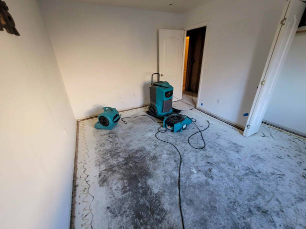 Best Water damage restoration near me  in Lake Heritage, PA