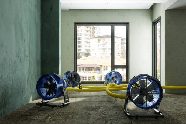Best Basement water damage restoration  in Lake Heritage, PA